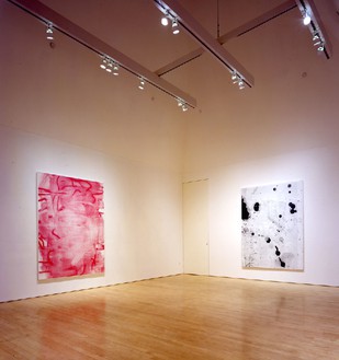 Installation view Photo by Douglas M. Parker Studio 
