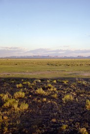 Walter De Maria, The Lightning Field, 1977. Entire field from northwest exterior looking southeast, summer 1979