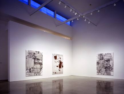 Installation view Photo by Douglas M. Parker Studio 
