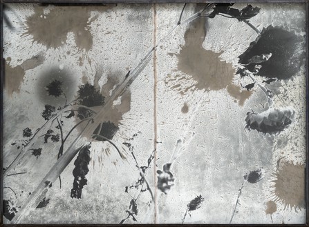 Anselm Kiefer, Les Fleurs du Mal (The Flowers of Evil), 1994–2012 Gelatin silver print with silver toner, in steel frame, 55 ½ × 75 ¼ × 4 inches (141 × 191 × 10 cm)© Anselm Kiefer. Photo: Charles Duprat
