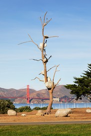 Giuseppe Penone, Idee di pietra (Ideas of Stone), 2004, installation view, Fort Mason, San Francisco, 2019–2021.